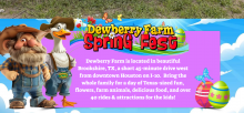 Dewberry Farm SpringFest